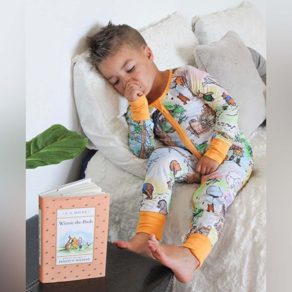 🍯NWT Babalus Winnie The Pooh Zippy🍯